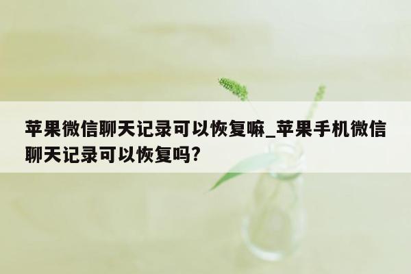 苹果微信聊天记录可以恢复嘛_苹果手机微信聊天记录可以恢复吗?