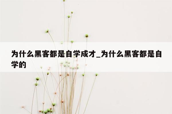 为什么黑客都是自学成才_为什么黑客都是自学的