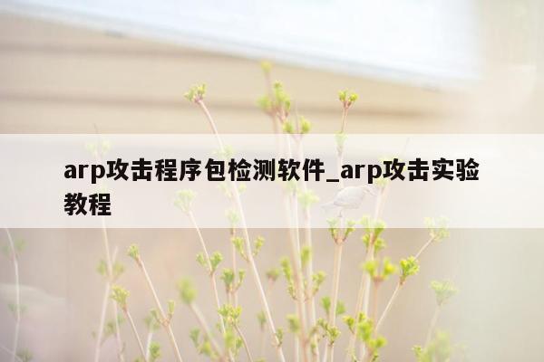 arp攻击程序包检测软件_arp攻击实验教程