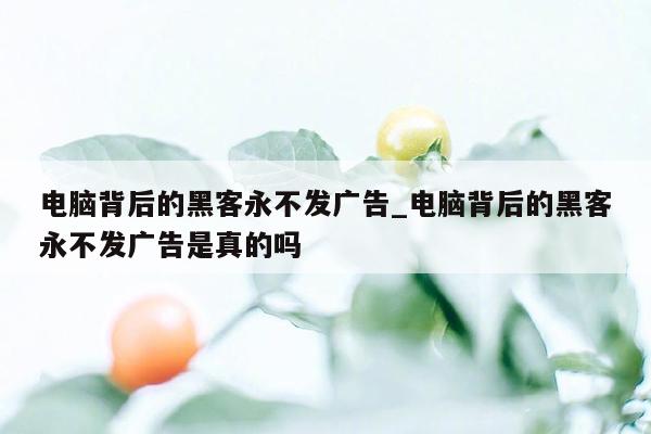 电脑背后的黑客永不发广告_电脑背后的黑客永不发广告是真的吗