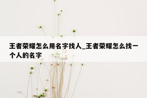 王者荣耀怎么用名字找人_王者荣耀怎么找一个人的名字