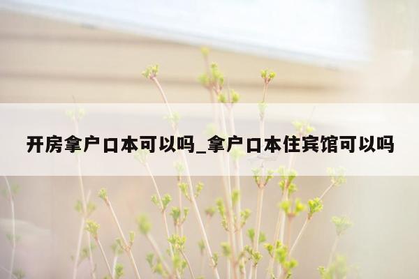 开房拿户口本可以吗_拿户口本住宾馆可以吗