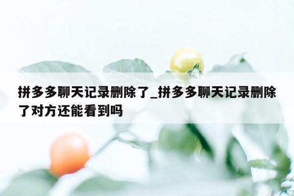 拼多多聊天记录删除了_拼多多聊天记录删除了对方还能看到吗