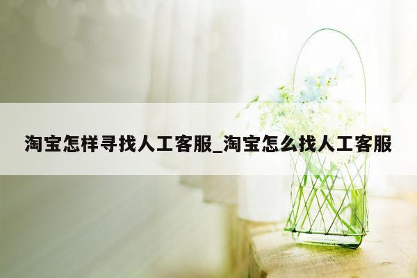 淘宝怎样寻找人工客服_淘宝怎么找人工客服