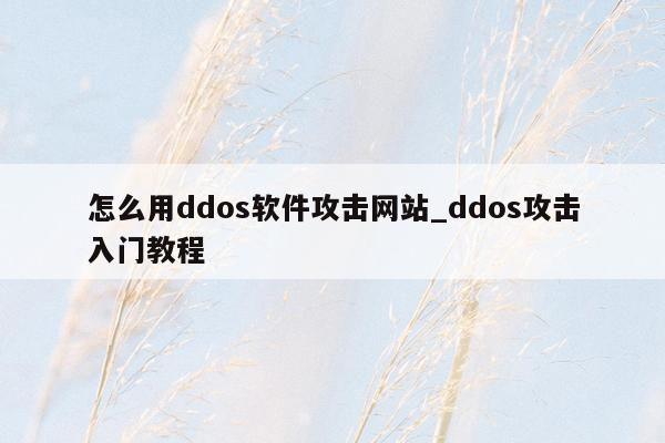 怎么用ddos软件攻击网站_ddos攻击入门教程