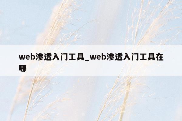 web渗透入门工具_web渗透入门工具在哪