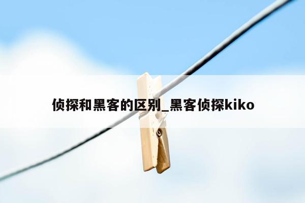 侦探和黑客的区别_黑客侦探kiko