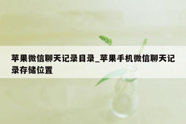 苹果微信聊天记录目录_苹果手机微信聊天记录存储位置