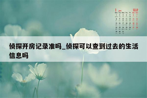 侦探开房记录准吗_侦探可以查到过去的生活信息吗