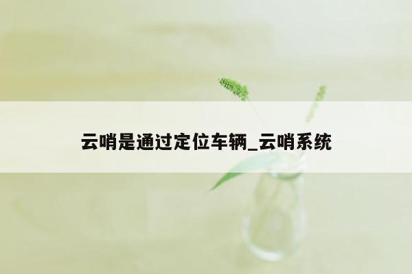 云哨是通过定位车辆_云哨系统