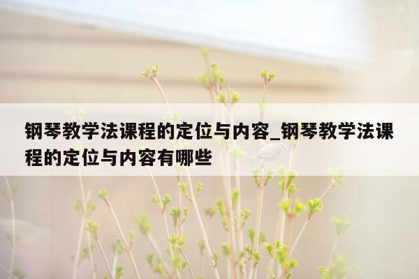 钢琴教学法课程的定位与内容_钢琴教学法课程的定位与内容有哪些