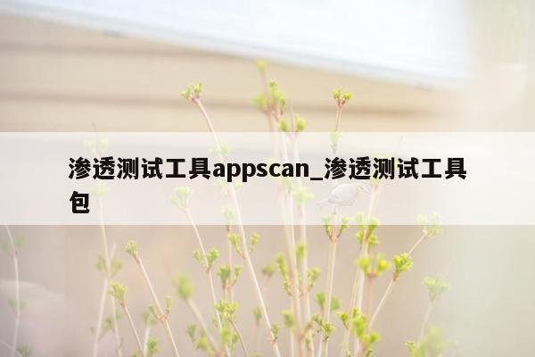 渗透测试工具appscan_渗透测试工具包