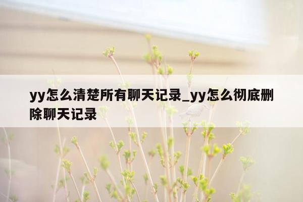 yy怎么清楚所有聊天记录_yy怎么彻底删除聊天记录