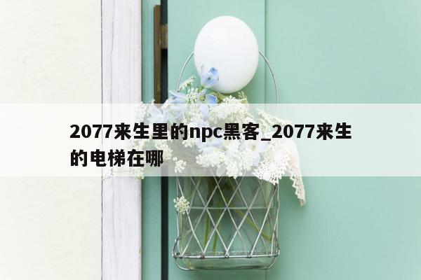 2077来生里的npc黑客_2077来生的电梯在哪