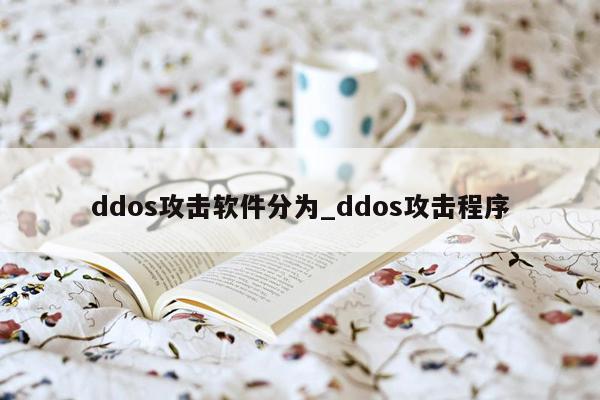 ddos攻击软件分为_ddos攻击程序