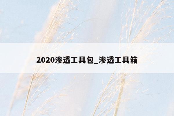 2020渗透工具包_渗透工具箱