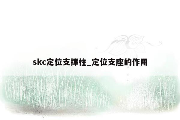 skc定位支撑柱_定位支座的作用