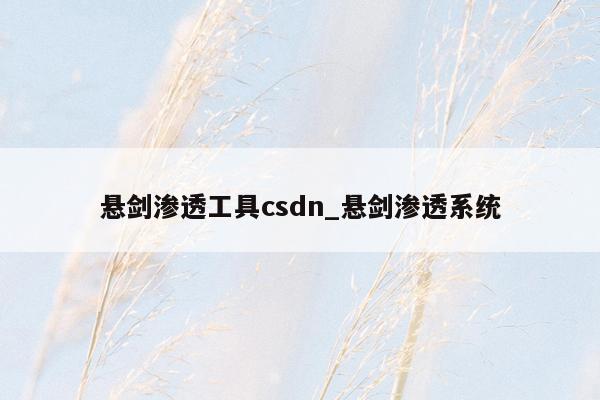 悬剑渗透工具csdn_悬剑渗透系统