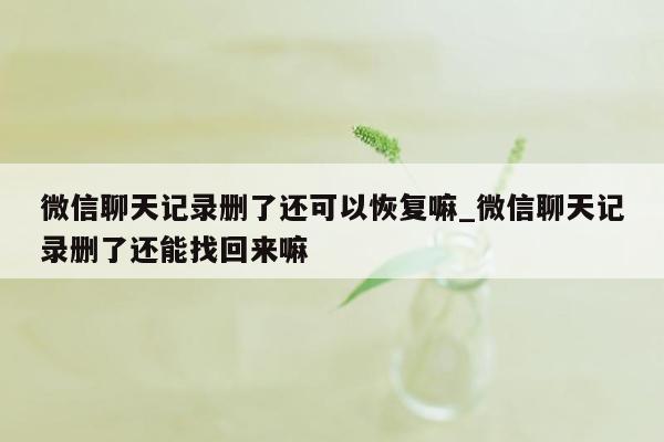 微信聊天记录删了还可以恢复嘛_微信聊天记录删了还能找回来嘛