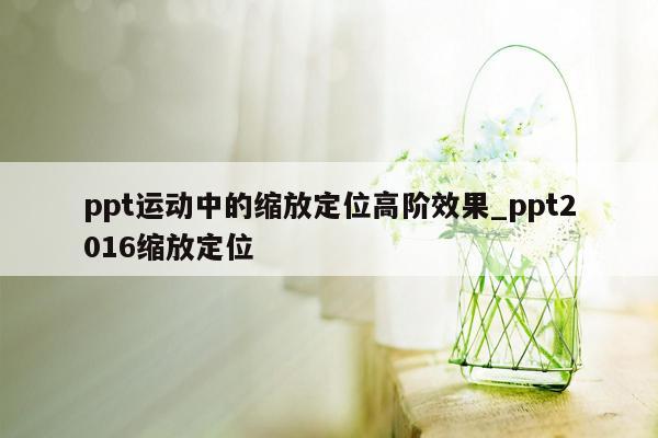 ppt运动中的缩放定位高阶效果_ppt2016缩放定位