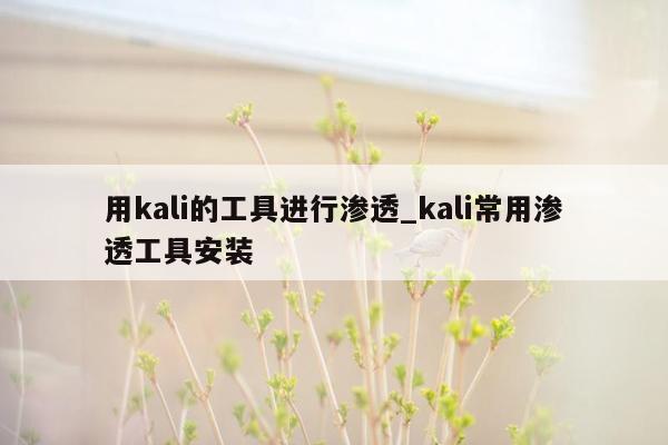 用kali的工具进行渗透_kali常用渗透工具安装