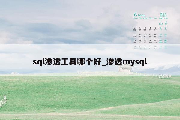 sql渗透工具哪个好_渗透mysql