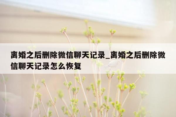 离婚之后删除微信聊天记录_离婚之后删除微信聊天记录怎么恢复