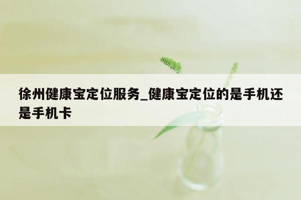 徐州健康宝定位服务_健康宝定位的是手机还是手机卡