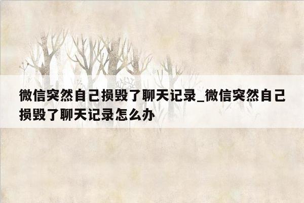 微信突然自己损毁了聊天记录_微信突然自己损毁了聊天记录怎么办