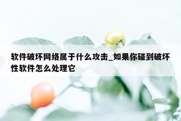 软件破坏网络属于什么攻击_如果你碰到破坏性软件怎么处理它