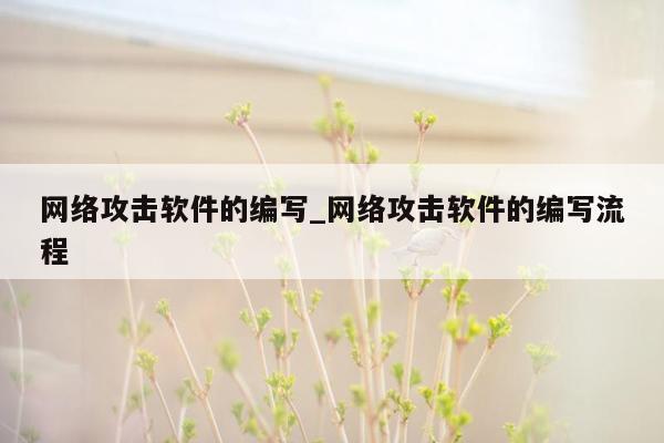 网络攻击软件的编写_网络攻击软件的编写流程