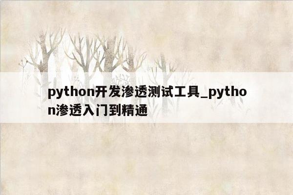 python开发渗透测试工具_python渗透入门到精通