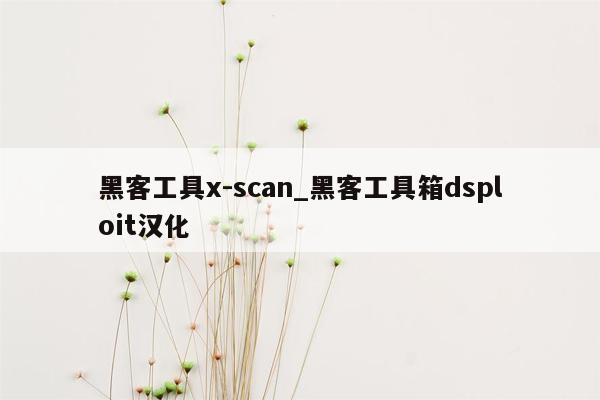 黑客工具x-scan_黑客工具箱dsploit汉化