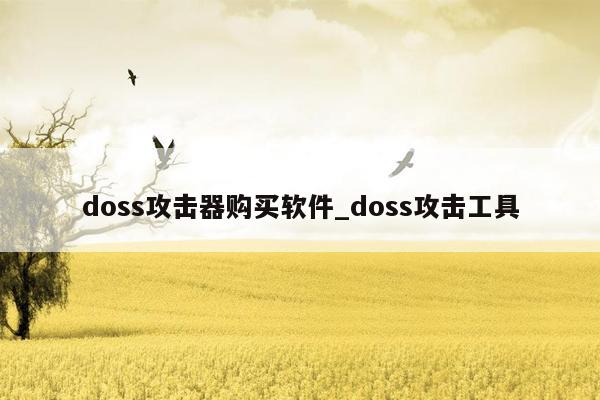 doss攻击器购买软件_doss攻击工具