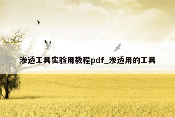 渗透工具实验用教程pdf_渗透用的工具