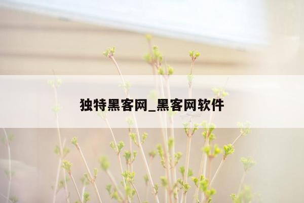 独特黑客网_黑客网软件