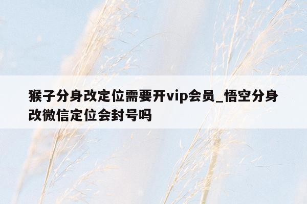 猴子分身改定位需要开vip会员_悟空分身改微信定位会封号吗