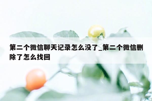 第二个微信聊天记录怎么没了_第二个微信删除了怎么找回