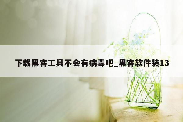 下载黑客工具不会有病毒吧_黑客软件装13