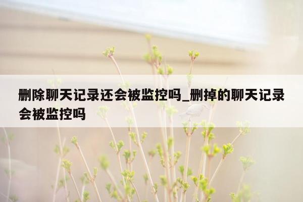 删除聊天记录还会被监控吗_删掉的聊天记录会被监控吗