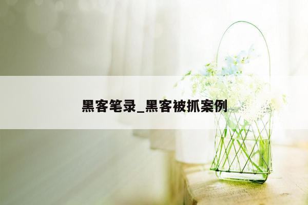 黑客笔录_黑客被抓案例