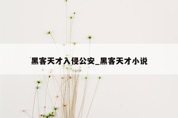 黑客天才入侵公安_黑客天才小说