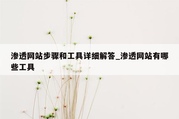 渗透网站步骤和工具详细解答_渗透网站有哪些工具