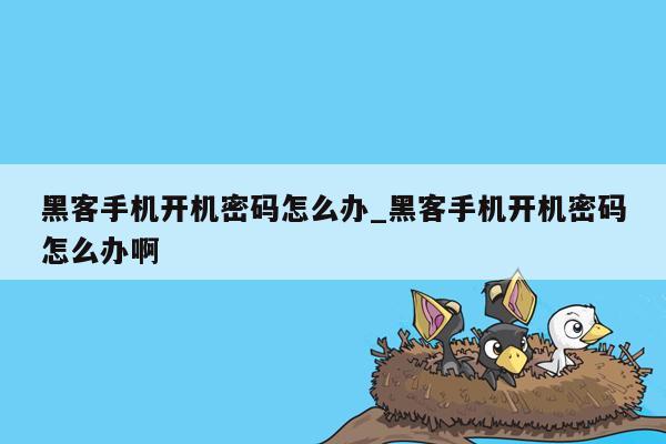 黑客手机开机密码怎么办_黑客手机开机密码怎么办啊