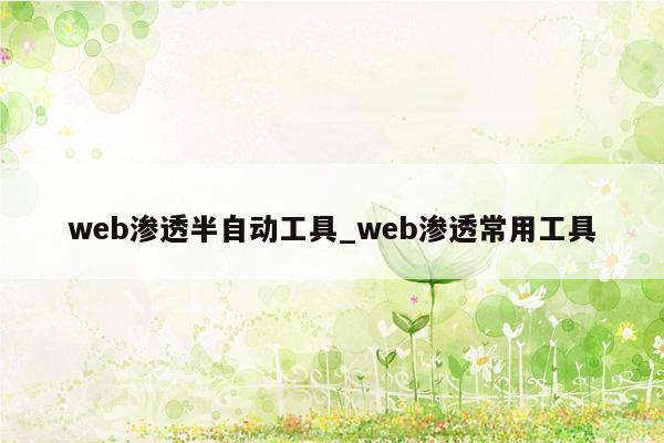 web渗透半自动工具_web渗透常用工具