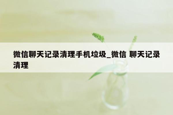 微信聊天记录清理手机垃圾_微信 聊天记录清理