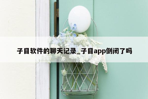 子目软件的聊天记录_子目app倒闭了吗