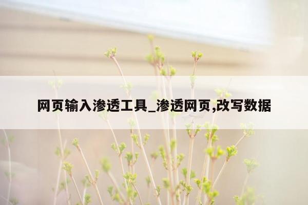 网页输入渗透工具_渗透网页,改写数据