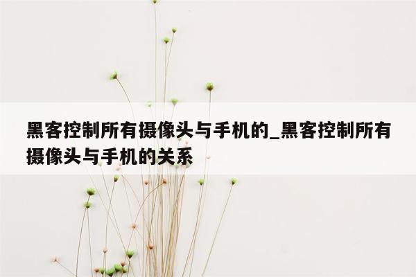 黑客控制所有摄像头与手机的_黑客控制所有摄像头与手机的关系