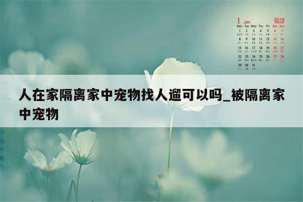 人在家隔离家中宠物找人遛可以吗_被隔离家中宠物